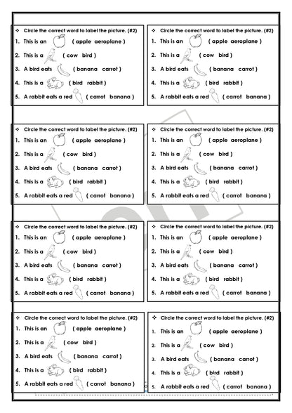 Kindergarten Planner